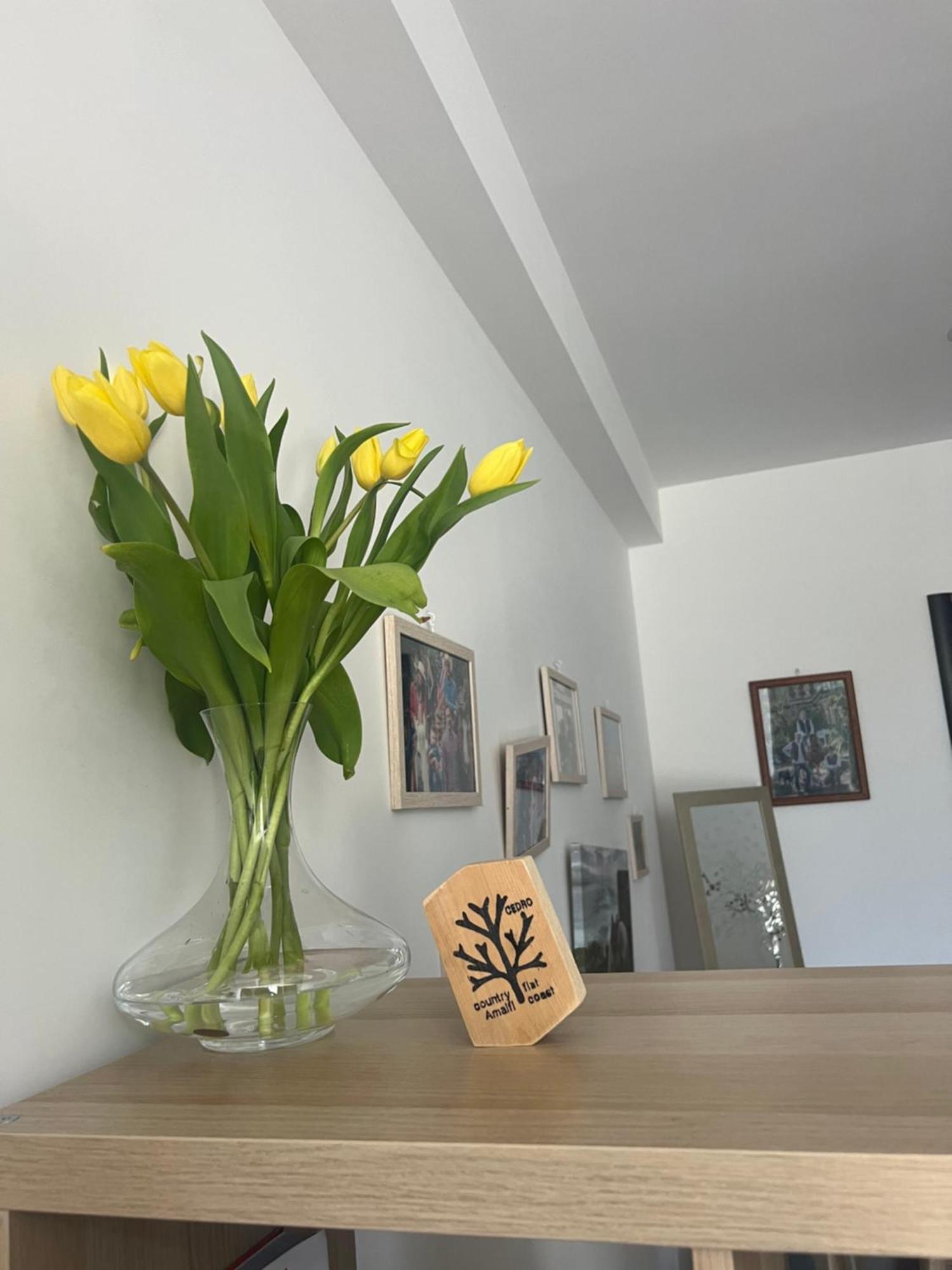 Country Bedroom Flat Vietri Bagian luar foto